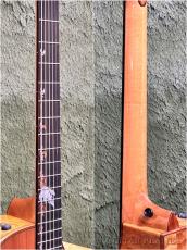 Taylor 【Top Japan Retailer Fair】Catch Custom #16 Amber Tide / C12ce B5016 #1201285104_8