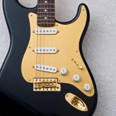 Vanzandt STV-R2 w/Anodized PG, Gold Parts, Matching Head -Black- 【オーダーモデル】【3.41kg】