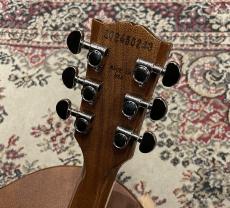 Gibson 【良杢】Les Paul Standard '60s Double Trouble (#202450248) Vintage Cherry Sunburst【4.29kg】_7