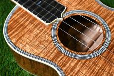 tkitki ukulele HK-5KT premium5K-style【S/N1499】_9