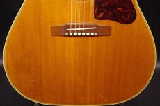 Gibson Country Western_9