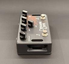 ACLAM GUITARS Cinnamon Drive_6