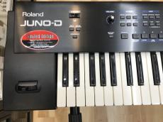 Roland JUNO-D Limited Edition_3