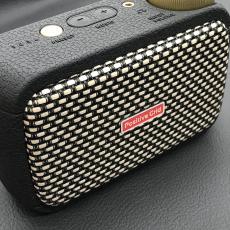 Positive Grid Spark GO