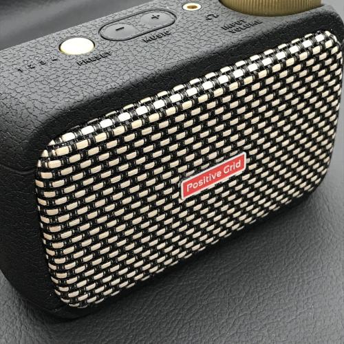 Positive Grid Spark GO