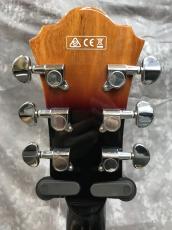 Ibanez AG75BS_6
