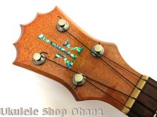 KoAloha [KCM-00UG] コンサート ハワイアンコア 2016年/中古委託_12