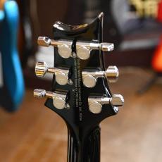 Paul Reed Smith [PRS] SE Custom 24_4