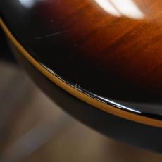 Paul Reed Smith [PRS] SE Custom 24_7