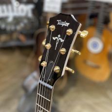 Taylor 614ce 50th Anniversary_3