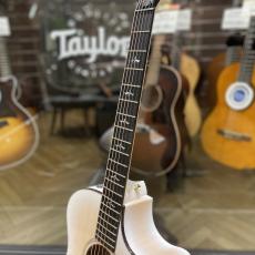 Taylor 614ce 50th Anniversary_4