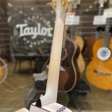 Taylor 614ce 50th Anniversary_8