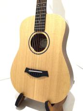 Taylor BT1e