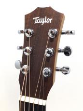 Taylor BT1e_3