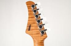 T's DST-Pro24 -Forest Fade Burst- [3.46kg]_11