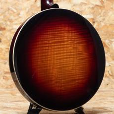 RECORDING KING RK-R85-SN 2000's_2