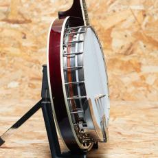 RECORDING KING RK-R85-SN 2000's_4