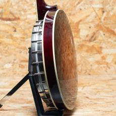 RECORDING KING RK-R85-SN 2000's_5