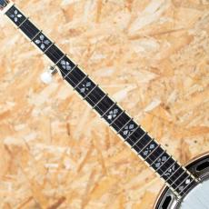 RECORDING KING RK-R85-SN 2000's_6