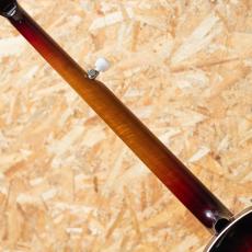 RECORDING KING RK-R85-SN 2000's_7