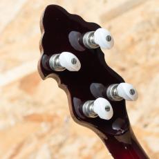 RECORDING KING RK-R85-SN 2000's_9