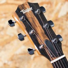 Taylor 117e_8