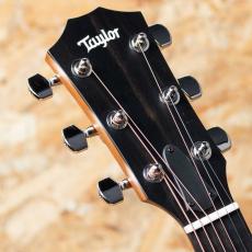 Taylor 414ce Studio Shaded Edgeburst_8