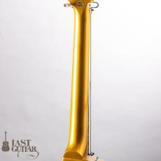 Gibson Les Paul Deluxe Hall of Fame Edition_7