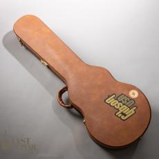 Gibson Les Paul Deluxe Hall of Fame Edition_13