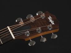 Taylor GS Mini Sapele ~Natural~ 【Torrefied Top 仕様の最新モデル!】_3