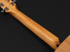 Taylor GS Mini-e Mahogany_9