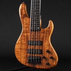Sadowsky Master Built 24Fret Modern Bass 5string 2025 Limited Edition ~Natural Transparent High Polish~