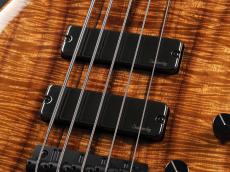 Sadowsky Master Built 24Fret Modern Bass 5string 2025 Limited Edition ~Natural Transparent High Polish~_6