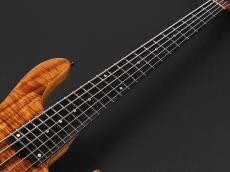 Sadowsky Master Built 24Fret Modern Bass 5string 2025 Limited Edition ~Natural Transparent High Polish~_10