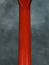 Gibson Custom Shop 50th Anniversary 1958 Les Paul Aged by Tom Murphy Japan Edition_12