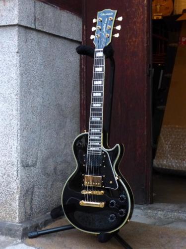 Edwards E-LP-50C/M