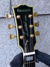 Edwards E-LP-50C/M_5