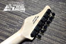 SCHECTER OL-ST-22/AB/R【オールブラック!】_4