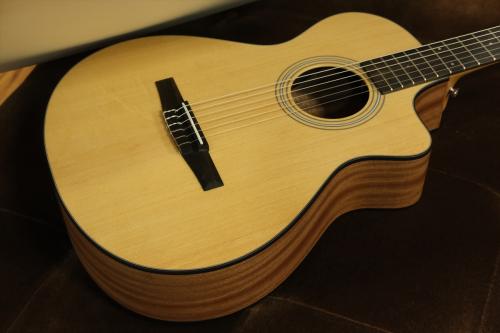 Taylor 112ce-Nylon