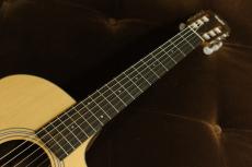 Taylor 112ce-Nylon_3