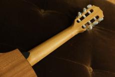 Taylor 112ce-Nylon_4