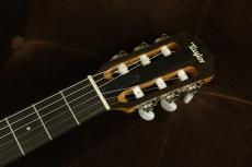 Taylor 112ce-Nylon_5