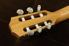 Taylor 112ce-Nylon_6