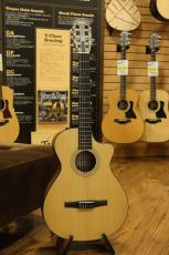 Taylor 112ce-Nylon_9