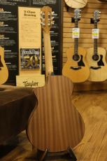Taylor 112ce-Nylon_10