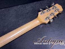 Asher Guitars Master Series T Deluxe Violin Burst /Roasted-Swamp Ash & Roasted Paulownia Body /Honduras Rock Maple Neck w/Varitone-System 2.83kg EX+++ "Rainbow Sound"_9