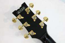 Ibanez AM73G / Black 【ニューモデル】_10