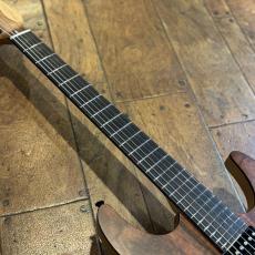 dragonfly SOTTILE CUSTOM 648_3