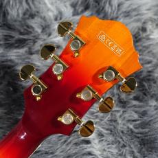 Ibanez AF115 Aged Whiskey Burst_9