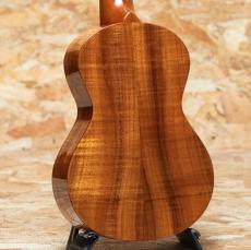 SAKATA GUITARS UC-1K 2020's_2